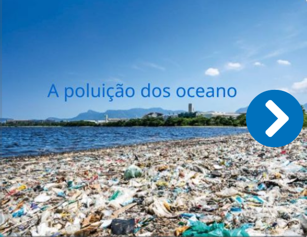 A poluição dos oceanos